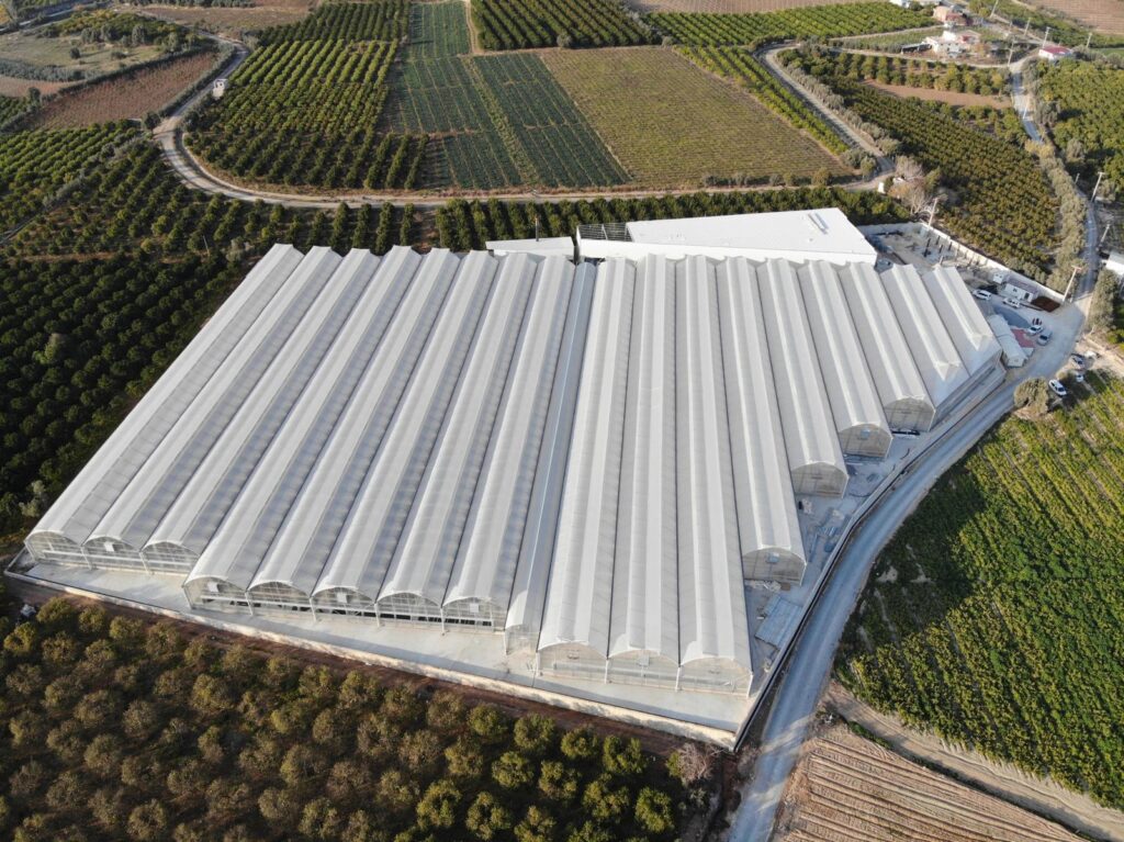 Delta Fİde Kaliteli Hastalıksız fideleri üreterek en doğru teslimat zamanlaması ile sizler ile buluşturmayı hedeflemektedir.